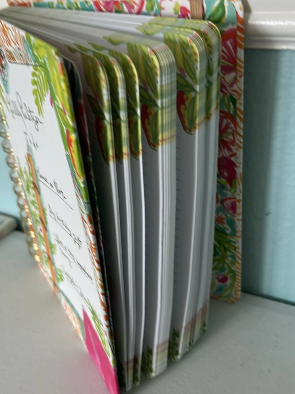Brand new Lily Pulitzer planner “To Do”  -A great gift idea. Super cute!